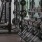 Free Weights